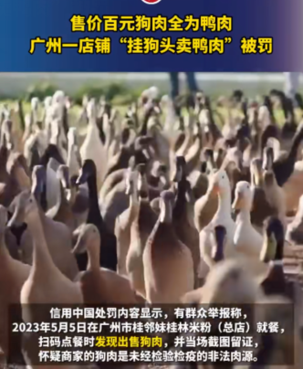 挂狗头卖鸭肉，粉店被罚款万元
