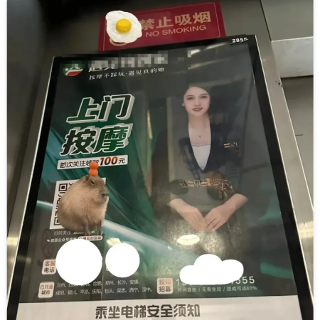 上海后花园：上门服务切入痛点揭秘“踩雷”方案