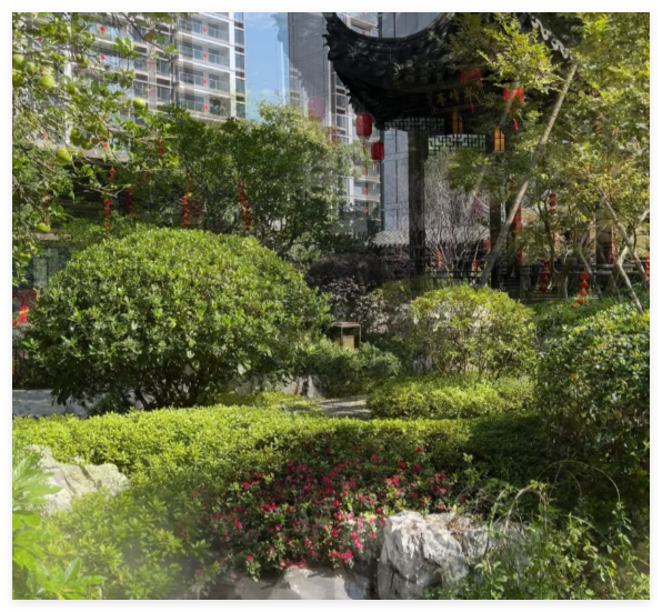 上海后花园：高档社区的设施有多完美？