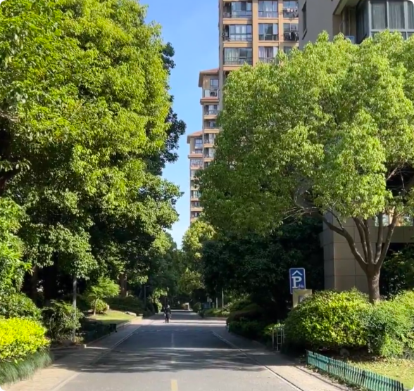 上海后花园建设：打造生态宜居的现代化家园