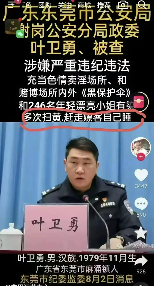 涉黑涉黄保护伞被揭露