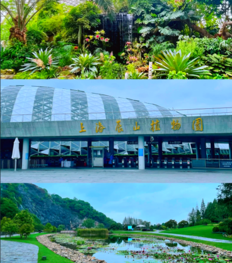 联想截图_20251001093959.png