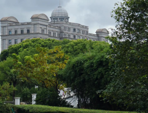 “上海后花园论坛”：人们正在改变城市的呼吸方式